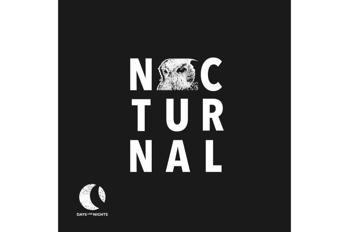 studio-apartment-marvy-silver-phoenix-days-like-nights-floor